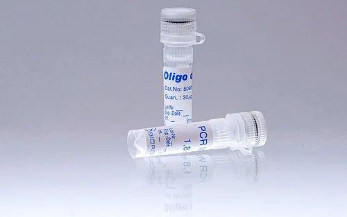 Primer synthesis